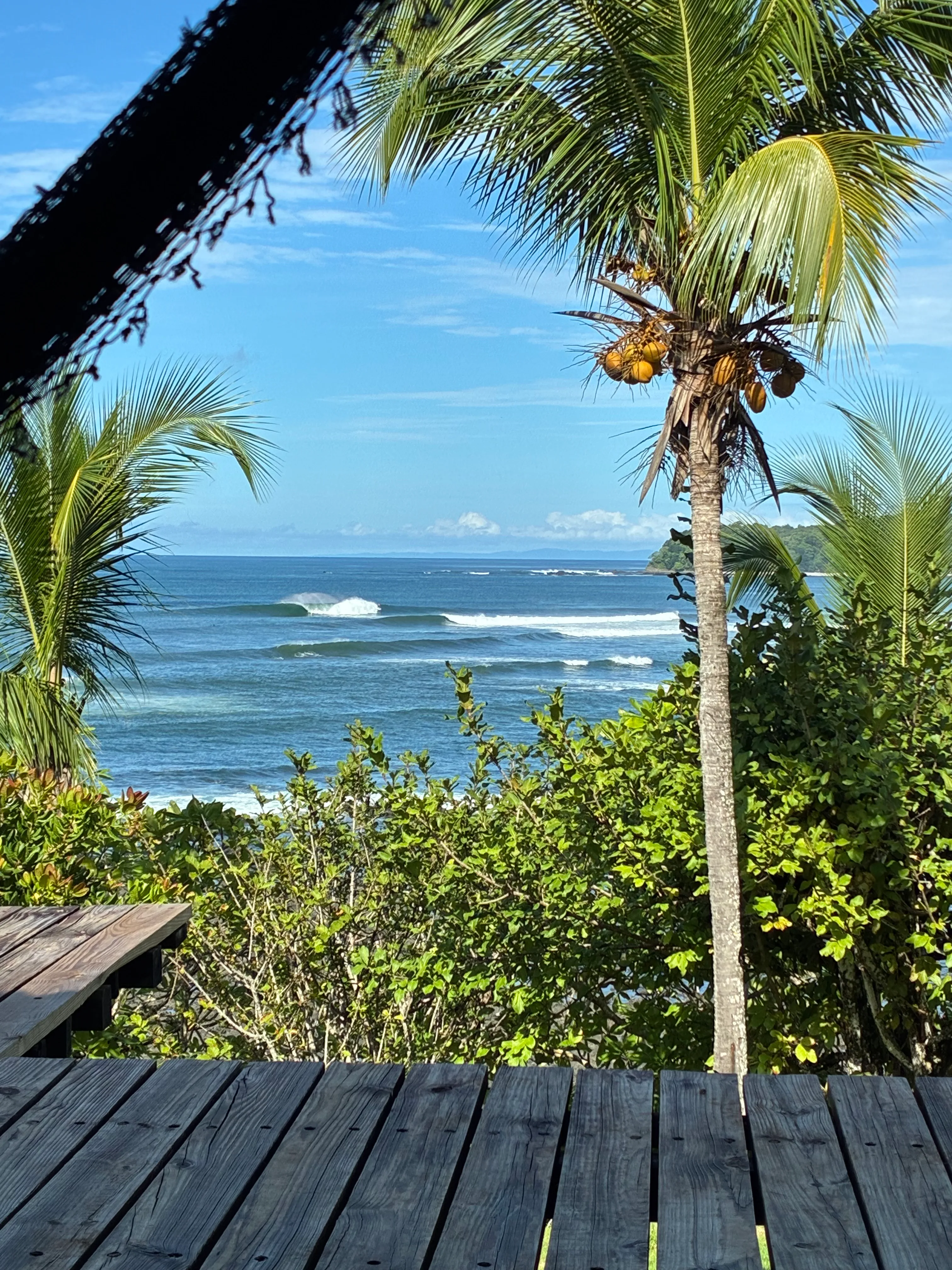 Surf
